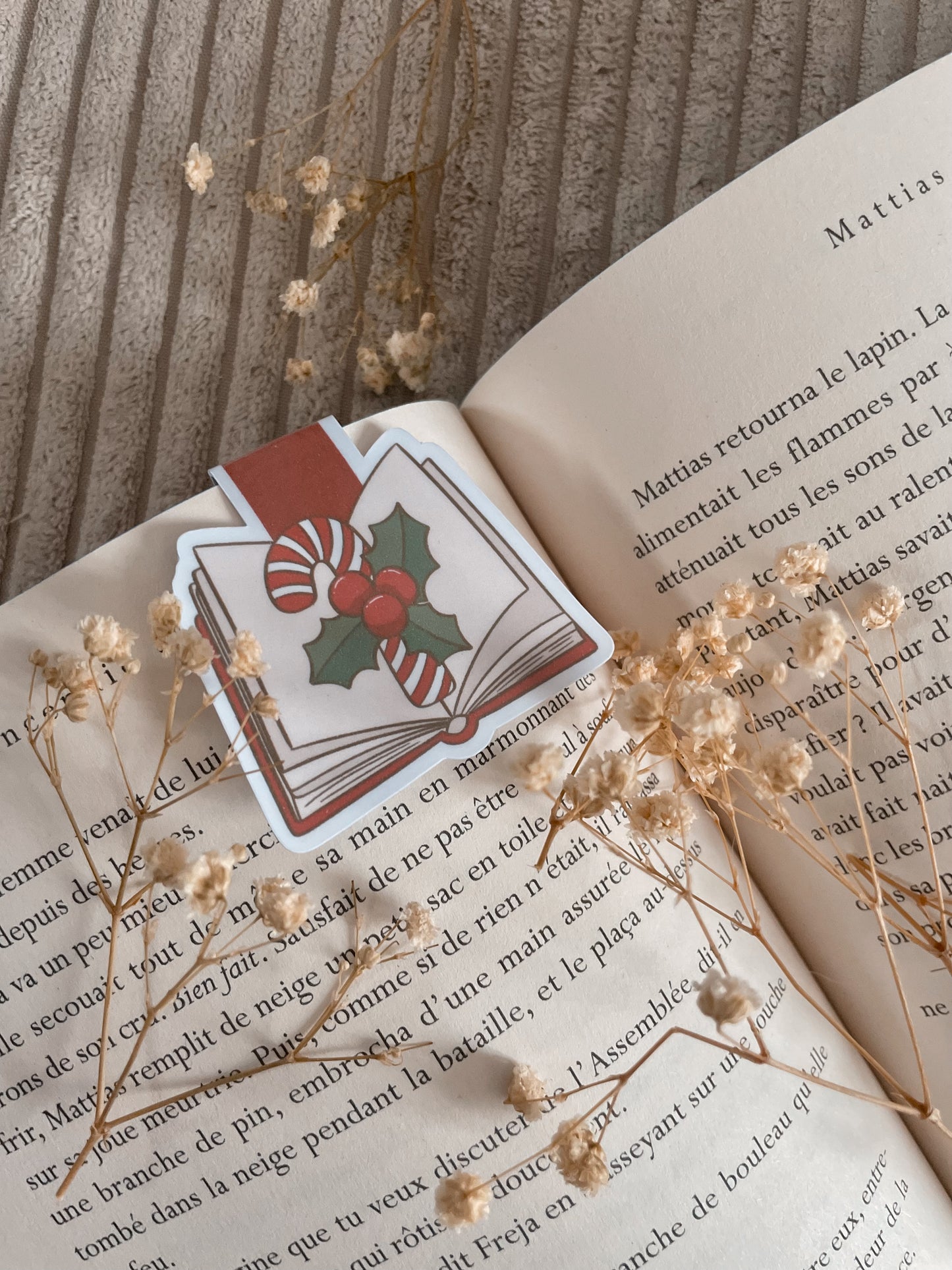 BOOKMARK - Marque page magnétique, inspiration « The book on barley sugar cane »