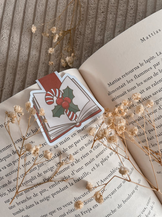 BOOKMARK - Marque page magnétique, inspiration « The book on barley sugar cane »