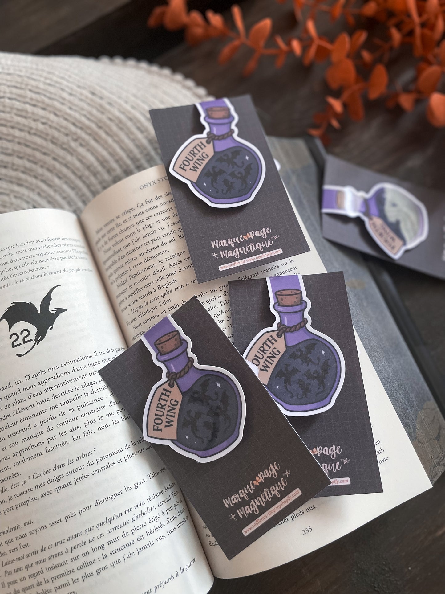 BOOKMARK - Marque page magnétique, inspiration Fourth Wing